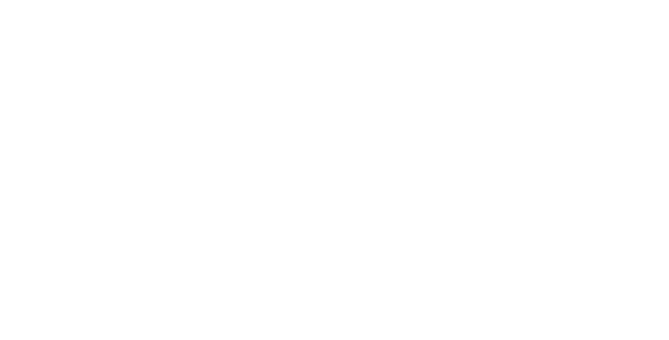 Logo_Brandology_Landscape_Landscape_White